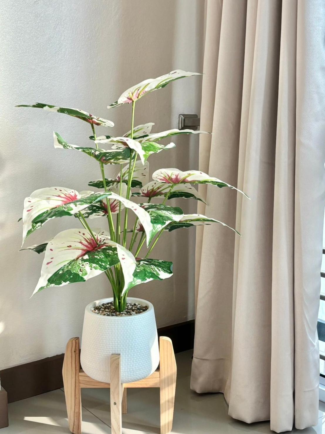 Willow Pillow Chumphon Exterior photo